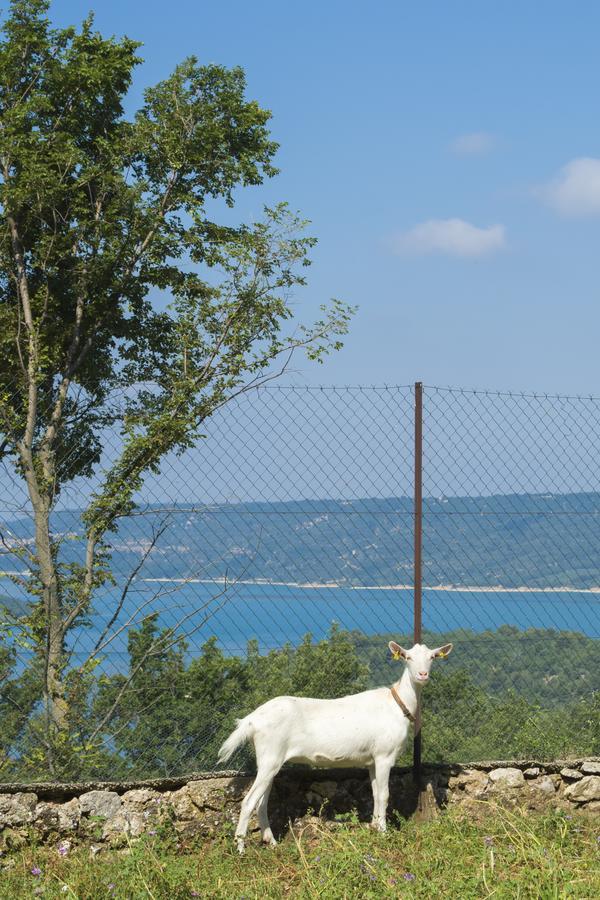 D'hotes - Ferme De Chanteraine Bed & Breakfast